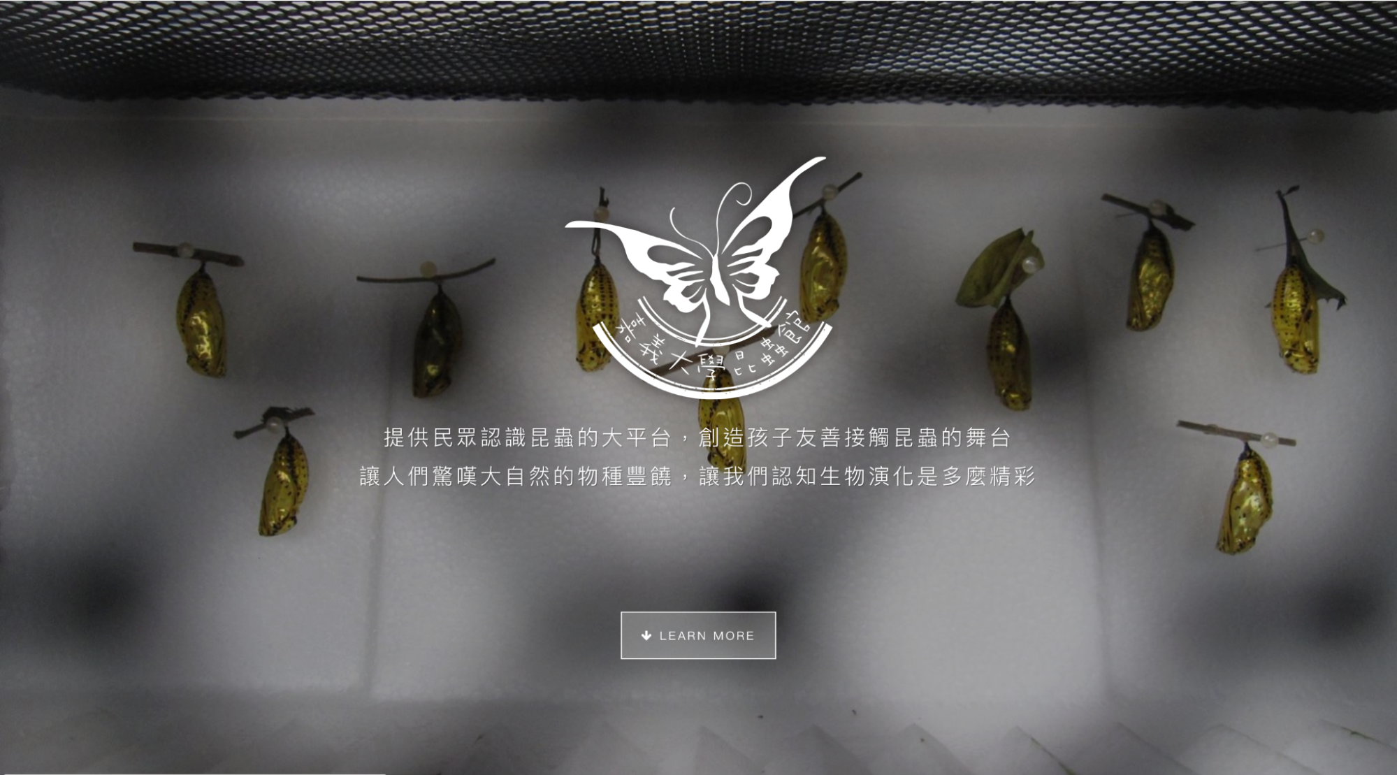 新嘉大昆蟲館
