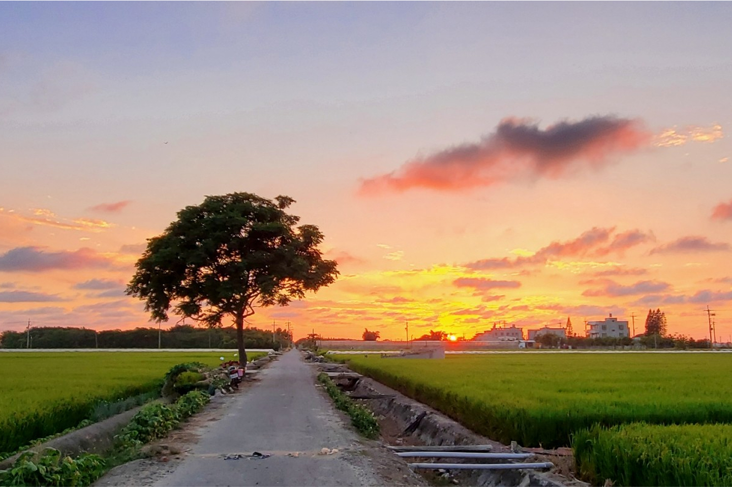圖