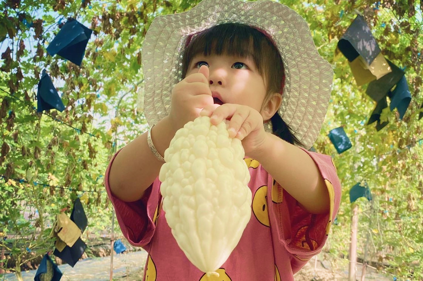 圖
